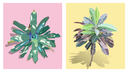 Summer plant pastel background © Summer Candy