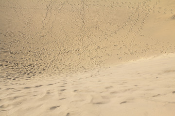 Maspalomas Sand Dune Desert, Grand Canaria