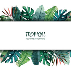 Summer tropical card. Watercolor vector illustration