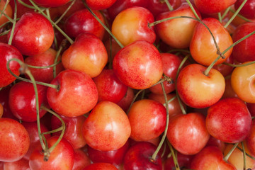 Pink sweet cherry background