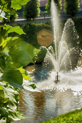 Tree leaves on a foreground background. In the background a fountain hitting the river.