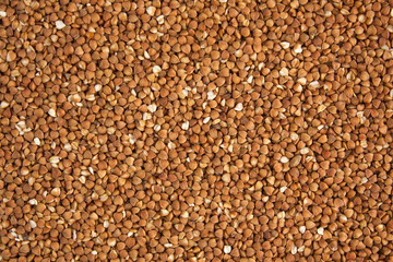 Buckwheat background, backdrop or texture