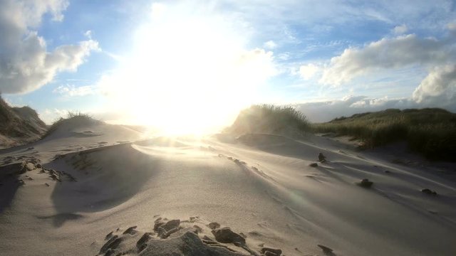 Sandsturm an der d&auml;nischen Nordseek&uuml;ste, D&uuml;nenlandschaft, D&uuml;nenbildung, Wanderd&uuml;nen