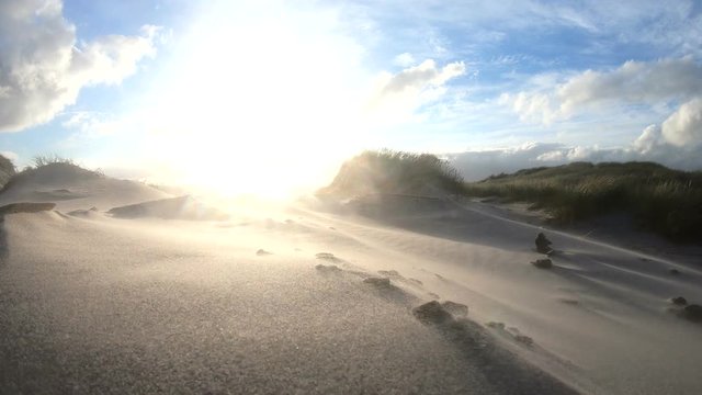 Sandsturm an der d&auml;nischen Nordseek&uuml;ste, D&uuml;nenlandschaft, D&uuml;nenbildung, Wanderd&uuml;nen
