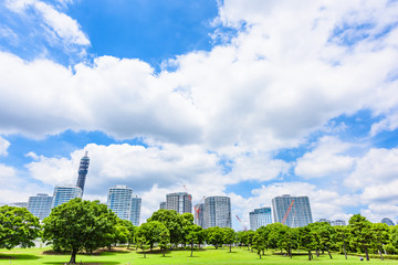 Fototapeta na wymiar 横浜のビル群と公園 High-rise condominium and fresh green in Yokohama