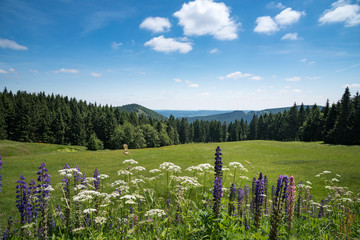 Landschaft an der Schmücke / Thüringer Wald