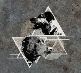 dog artwork