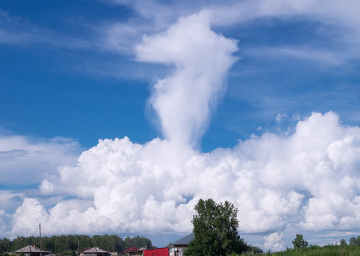 The silhouette of the clouds - chess piece, knight