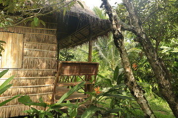 Cabane sous les tropiques