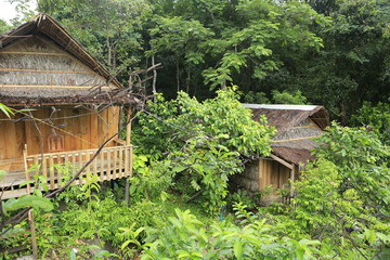 Cabane sous les tropiques