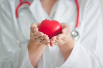  Holding red heart shape in hand