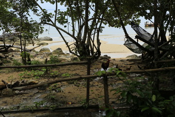 Paysage de l'île de Koh Rong au Cambodge