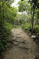 Paysage de l'île de Koh Rong au Cambodge