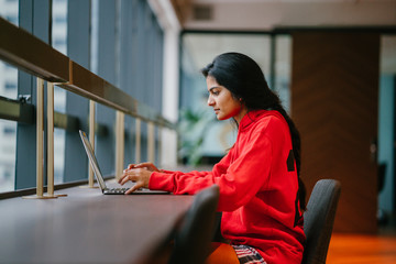 A successful youthful Indian woman working at a laptop 