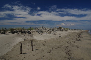 Fototapeta na wymiar Sandstrand in der Camargue