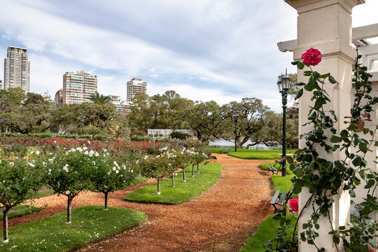 El Rosedal Rose Park at Bosques de Palermo (Palermo Woods) - Buenos Aires, Argentina