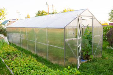 Polycarbonate greenhouse in the garden. View from the outside.
