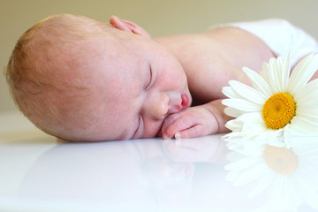 Portrait of a sleeping newborn baby close-up