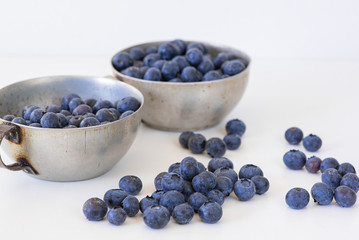 Bio Blaubeeren / Bio Heidelbeeren