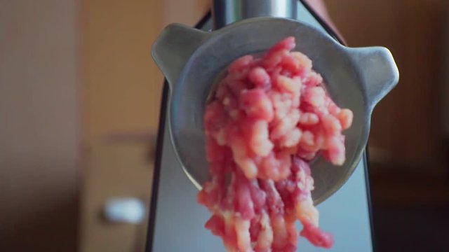electric meat grinder prepares minced meat