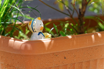 Decorative garden plastic duck in flowerpot, sunny day, postcard mock-up