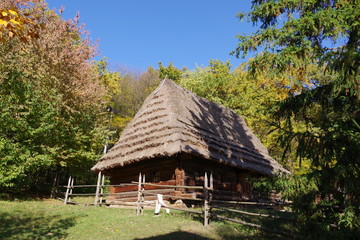 Fototapeta na wymiar log house with a thatched roof