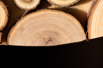 Core of juniper and sandalwood background