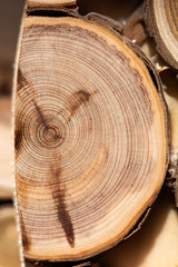 Obraz premium Core of juniper and sandalwood background