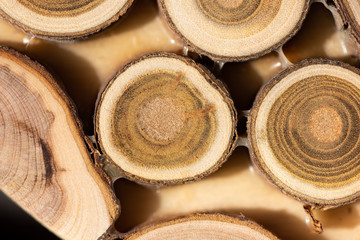 Core of juniper and sandalwood background