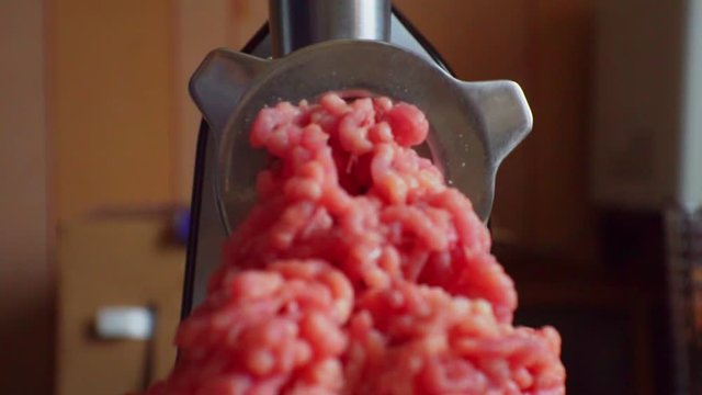 electric meat grinder prepares minced meat