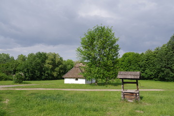 wooden house with white walls near the forest