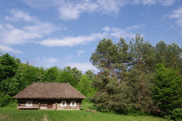Fototapeta na wymiar wooden house near the forest