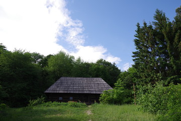 wooden house near the forest