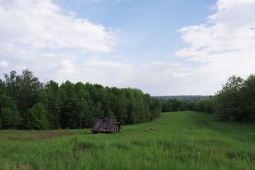 Fototapeta na wymiar wooden house near the forest