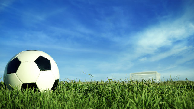 Soccer ball on green grass field for sport event