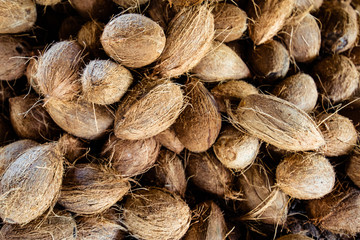 großer Berg an Kokusnüssen auf einer Plantage