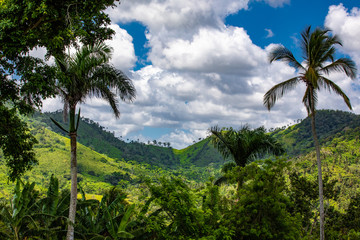 Fototapeta na wymiar Tropische Bergkette in der Karibik 