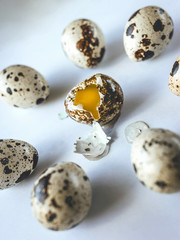 Obraz premium Broken quail egg surrounded by whole eggs on white background, close up. Concept killing, ritual, suicide, sacrifice