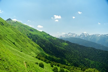 Naklejka premium Green slope of the high big mountain. Alpine meadows in the Caucasus Mountains. Flowers of all colors and grasses. Beautiful blue sky and clouds. Impressions from mountain tourism.
