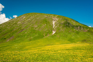 Fototapeta na wymiar Green slope of the high big mountain. Alpine meadows in the Caucasus Mountains. Flowers of all colors and grasses. Beautiful blue sky and clouds. Impressions from mountain tourism.
