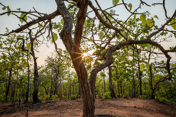 A sunny day at  A place of scenic canyon with narrow hiking trail