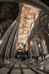 Monumental la catedral de Sevilla vista con ojo de pez