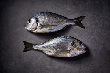 Raw, fresh Dorada fish, sea bream, gilt-head (sea) bream raw and fresh on a grey stone background, top view. Seafood, fish