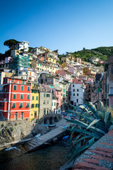 Fototapeta na wymiar Vertical View of the Town of Riomaggiore on Blue Sky Background