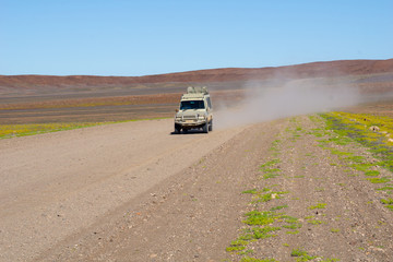 Dust trail follows safari vehicle along dusty road