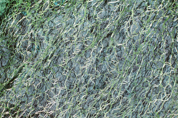 abstract texture woven fiber