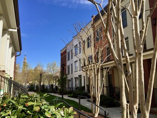 Row houses in the Brookland neighborhood of Washington, D.C.