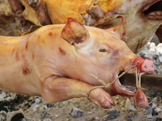 Pig roasting on a spit