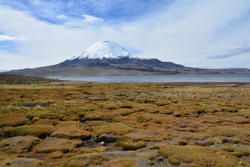 Parc National Lauca, Chili