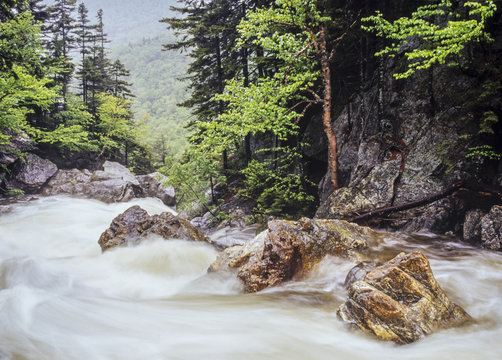 Glen Ellis Falls Trail